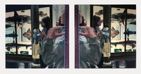 Zoonosisocene, diptych