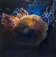 Darkwater Jellyfish in Spotlight