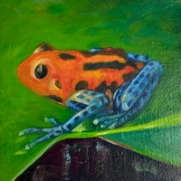 Tropical Frog