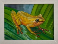 Frog (when did you last see a frog?)