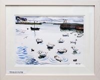 Swans at the Claddagh