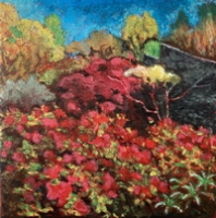 Harry's Garden with Japanese Maples
