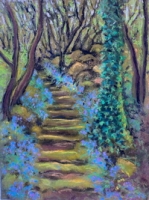 Bluebell Steps