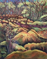 Moss Garden