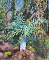 New Zealand Tree Fern Protected for Winter I