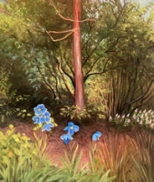 Blue Himalayan Poppies II