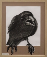 Rook