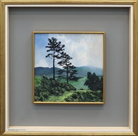 Tall Pine Trees Near Aasleagh