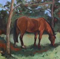 Grazing