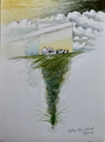 Winter Sky, Inishark