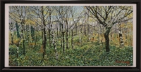 Beech Trees, Mealeagh