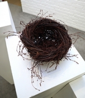 Birch Twig Nest