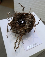Catkin Nest of Wild Willow, Natural
