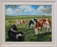 Cows and Clover