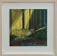 Sunlight and Shadow
