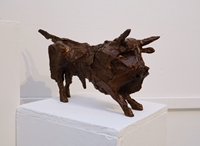 Medium Bull