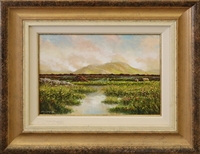 (c) Roundstone Bog