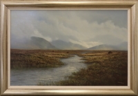 (c) Connemara Bog