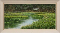 Still River with Lily-pads II (3/13)