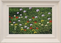 Poppy Field
