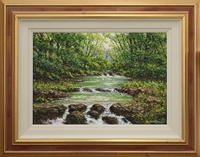 Tumbling River near Ballynahinch