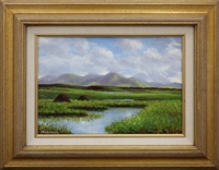 Roundstone Bog