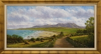North Mayo Coast