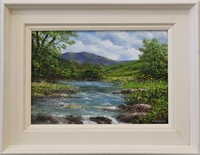 Ballynahinch River (7/10)