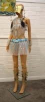 Dress of Vision