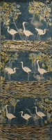 Cattle Egrets Feeding