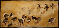 Oystercatchers, Fanore