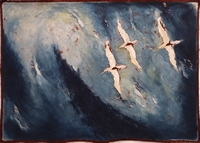 Gannet Trio