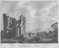 Baggotstrath Castle