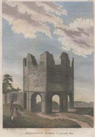 Mellifont Abbey