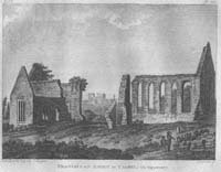 Cashel - Franciscan Abbey in Cashel