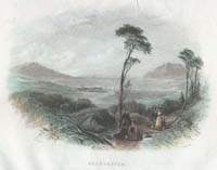 Rosstrevor