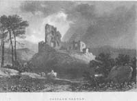 Cappage Castle, Limerick