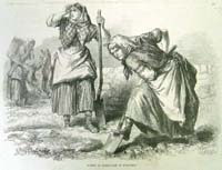 Women at Field-work in Roscommon