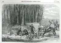 Fox - Hunting, "Whoo-whoop ! - Tall