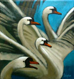 Swans - George Callaghan