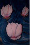 Magnolia Blossoms I - Vicki Crowley