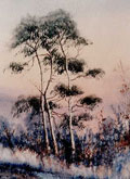 Morning Frost On Pines - James Flack