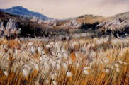 Mountain Meadow - James Flack