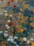 Butterflies, Summer Meadow - Kenneth Webb