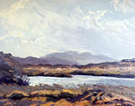 Painted In A Full Gale, Roundstone Bog - Rosemary Carr