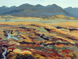 Roundstone Bog In Jewel Autumn Colours - Rosemary Carr