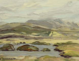 Sunlight On The Hill Farm Fields, Roundstone - Rosemary Carr