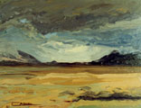 Sunshine & Storm, Gowla Bog - Rosemary Carr