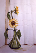 Sunflowers - Phyllis Del Vecchio