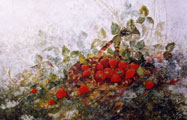 Strawberries - Phyllis Del Vecchio